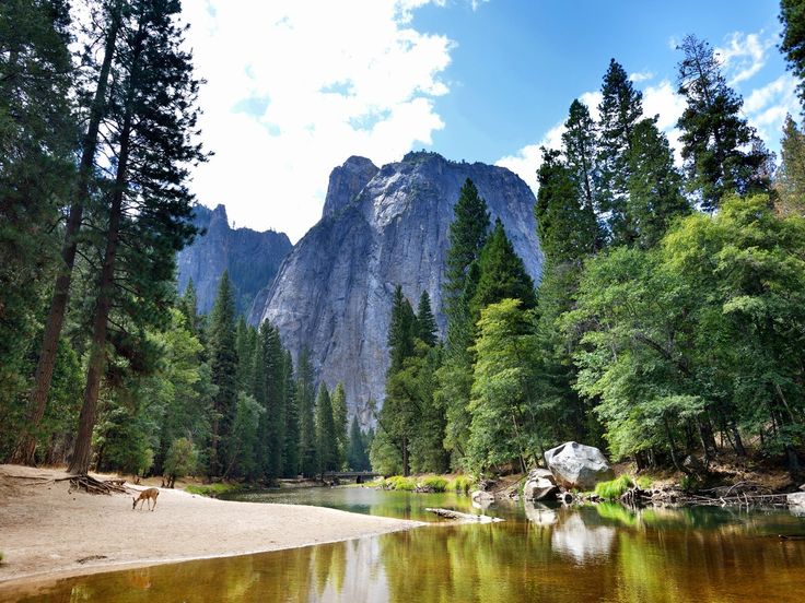 Best USA National Parks You Should Experience